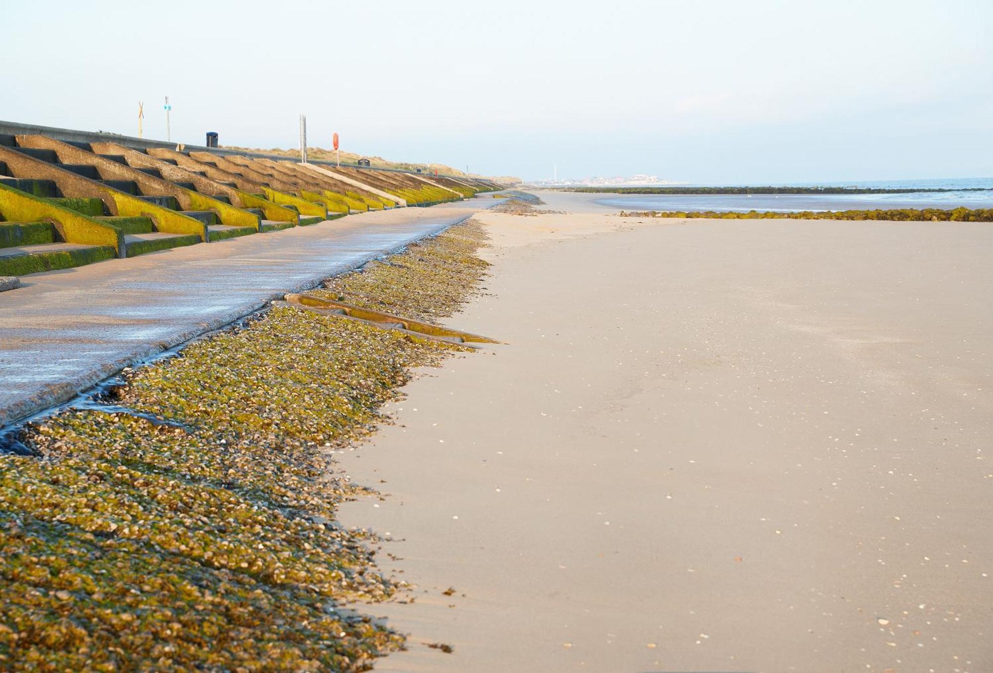 The Barn At Plas Ashpool Sleeps 8 Llandyrnog المظهر الخارجي الصورة